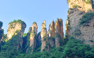 張家界&四川8日間