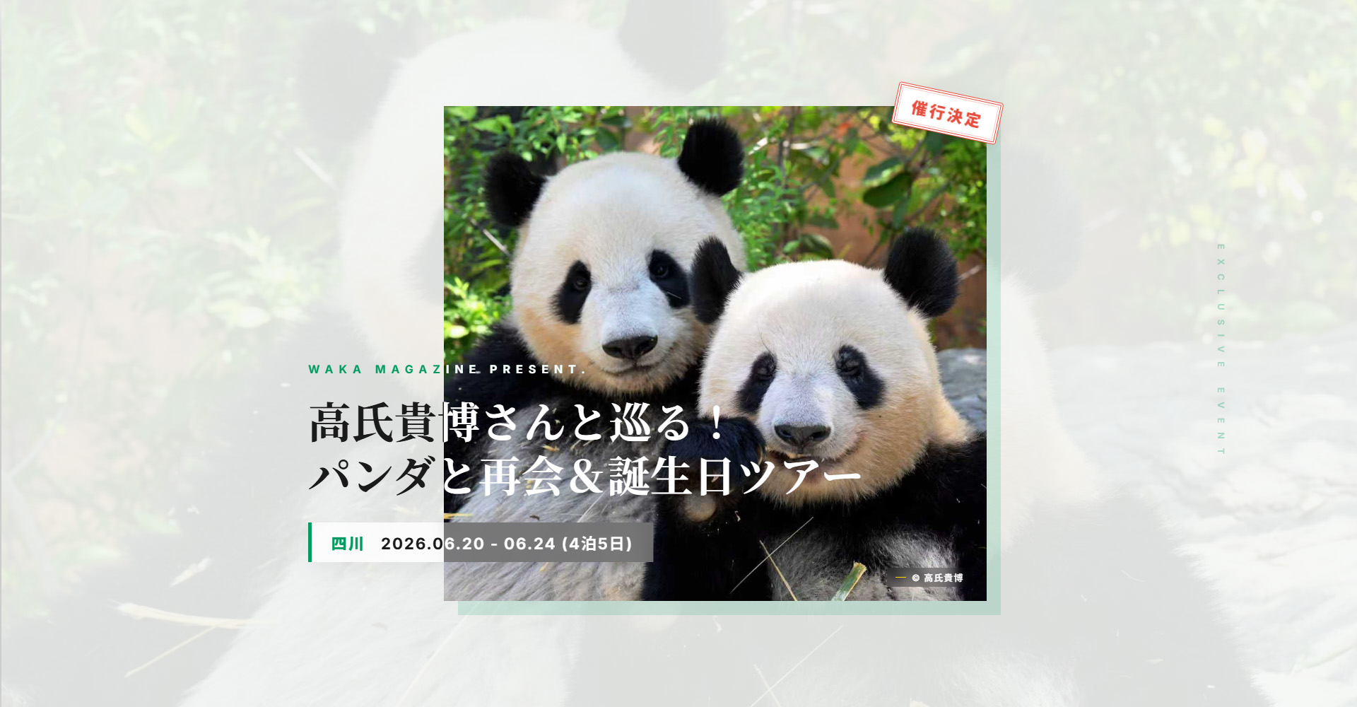 四川パンダ再会・誕生日ツアー