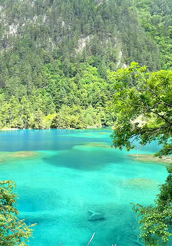 四川大周遊 成都・雅安・楽山・九塞溝・黄龍