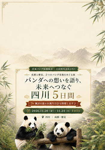 【成田発】土居会長と行く！パンダへの想いを語り、未来へつなぐ四川5日間