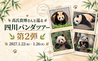 高氏貴博さんと巡る四川パンダツアー第2弾